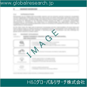 グローバルリサーチ調査資料のイメージ